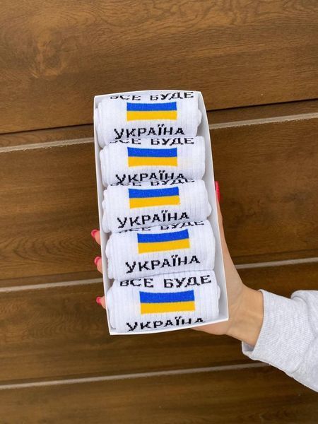 Набір чоловічих патріотичних шкарпеток 40-45 на 5 пар у подарунковій коробці із стрічкою Ч5укр024 фото