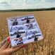 Бокс патріотичних жіночих Коротких шкарпеток на 8 пар 36-41р у подарунковій коробці літо кж8укр фото 3