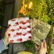 Бокс женских носков 36-41 г на 8 пар в подарочной коробке Ж8бокс040 фото 2