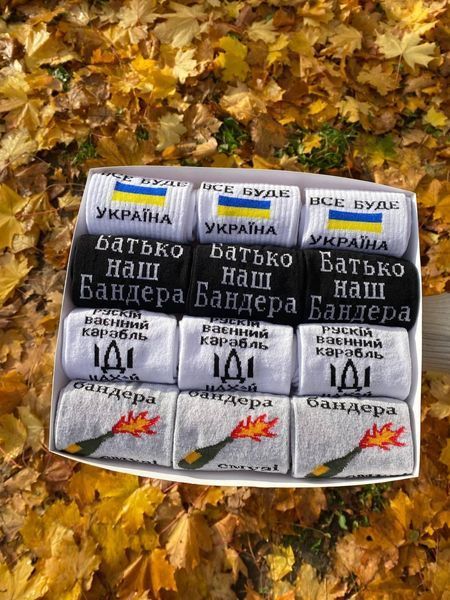ч12укр6 фото