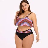 Женский раздельный купальник Plus size разноцветный SW1319 фото